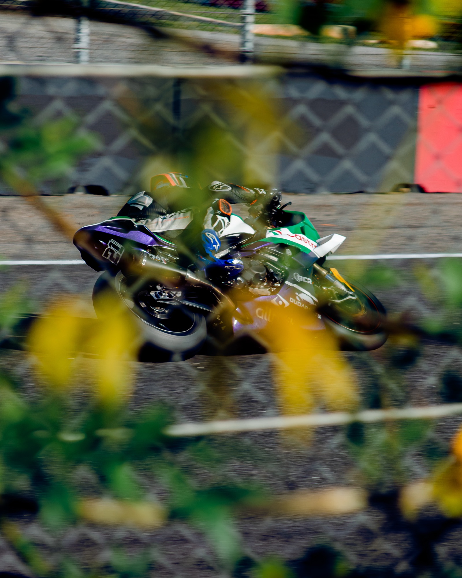 Moto em panning vista através das flores amarelas na beira da pista